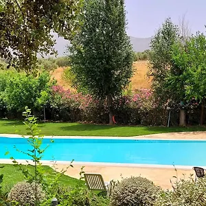 Bodega El Juncal Hotell Ronda